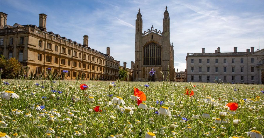 Uniwersytet Cambridge
