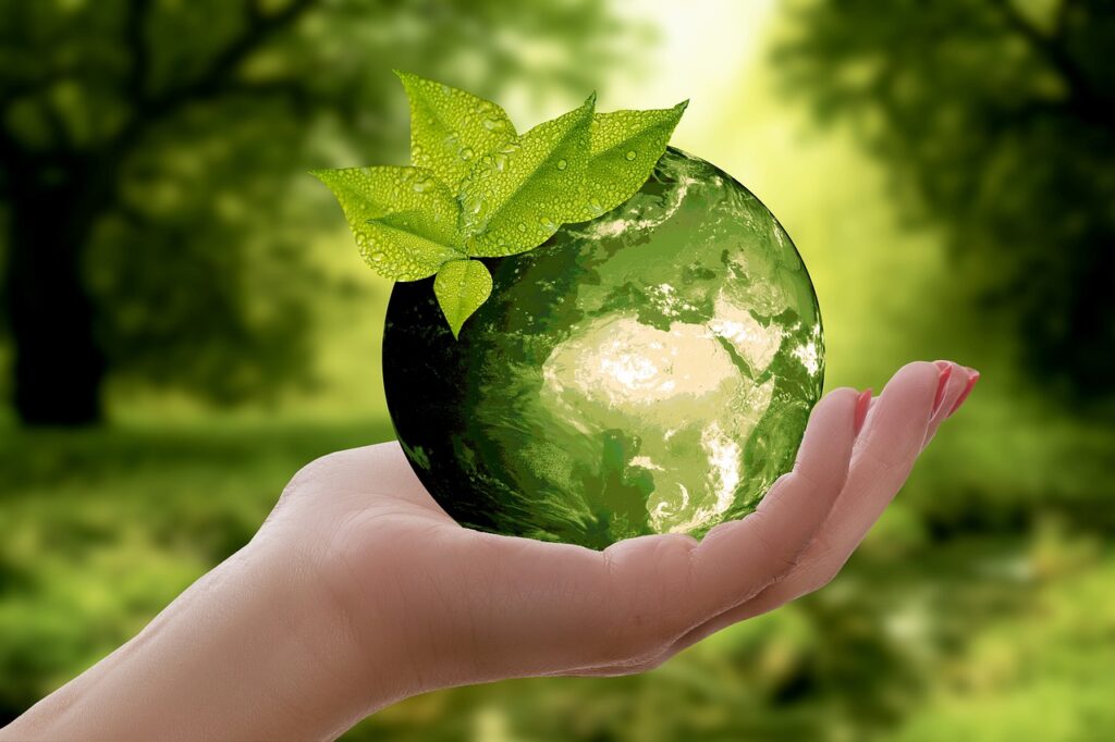 Ekologiczne upominki-dbanie o planetę.
